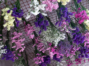 Temps de Flors 2018. Muntatges florals als Jardins del Campaner