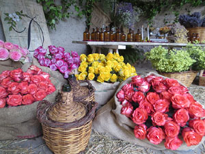 Temps de Flors 2018. Muntatges florals als Jardins del Campaner