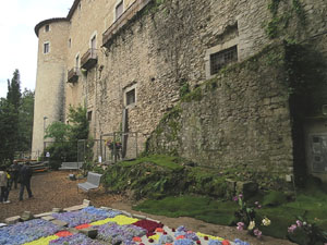 Temps de Flors 2018. Muntatges florals als Jardins del Campaner