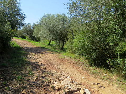 El Camí de les Creus