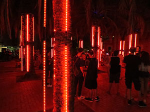 Festival Temps d'Art. Espectacle Cl&uacute;ster al Parc Central de Girona