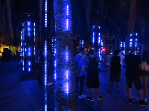 Festival Temps d'Art. Espectacle Cl&uacute;ster al Parc Central de Girona