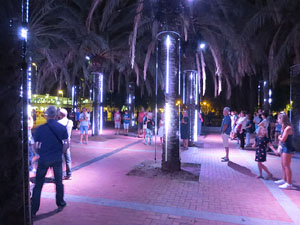 Festival Temps d'Art. Espectacle Cl&uacute;ster al Parc Central de Girona