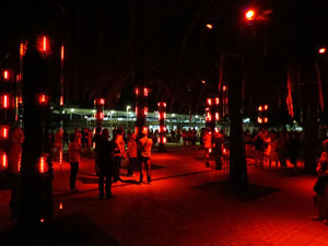 Festival Temps d'Art. Espectacle Cl&uacute;ster al Parc Central de Girona