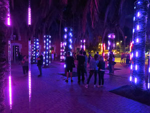 Festival Temps d'Art. Espectacle Cl&uacute;ster al Parc Central de Girona