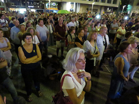 Assistents a la concentració