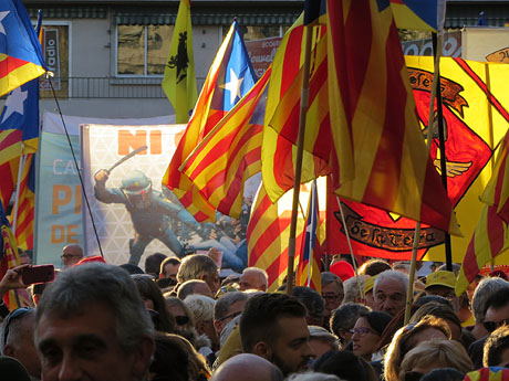 Diada de Catalunya Nord 2018 a Perpinyà