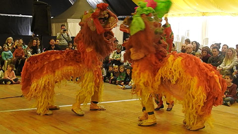 La Dansa del Lle&oacute;