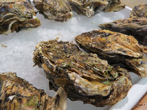 Fires 2018. 57a. edici&oacute; de la Fira de Mostres a Fira de Girona