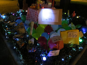 Nadal 2018 a Girona. VIBRA. Festa de la llum. Instal&middot;lacions a diversos indrets de la ciutat