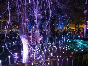 Nadal 2018 a Girona. VIBRA. Festa de la llum. Instal&middot;lacions a diversos indrets de la ciutat