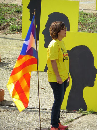 La instal·lació a l'Onyar