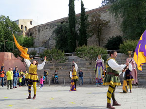 Fires de Sant Narc&iacute;s 2018. Toc de rams. Canvi dels rams de flors de les gegantes de Girona