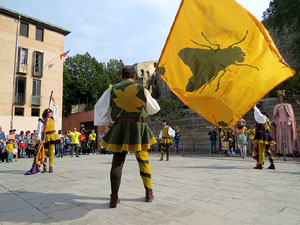 Fires de Sant Narc&iacute;s 2018. Toc de rams. Canvi dels rams de flors de les gegantes de Girona