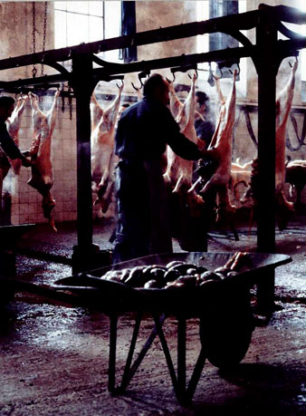 Tasques a l'antic escorxador de Girona. 1984