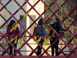 21F Vaga general. Enllaçada convocada per ANC Girona a la plaça Catalunya