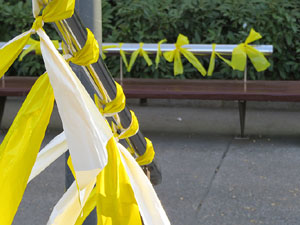 21F Vaga general. Enllaçada convocada per ANC Girona a la plaça Catalunya