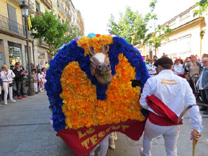 Festes de Primavera de Girona 2019. V Trobada de Mulasses