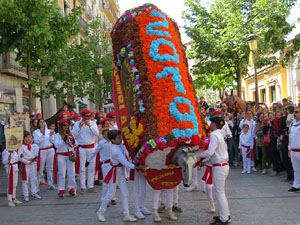 Festes de Primavera de Girona 2019. V Trobada de Mulasses