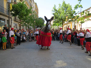 Festes de Primavera de Girona 2019. V Trobada de Mulasses