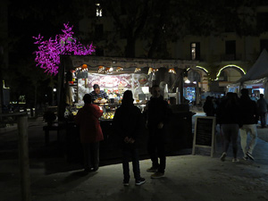 Nadal 2018. La decoraci&oacute; nadalenca dels carrers