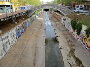El pont del Dimoni de Santa Eugènia de Ter. Visita de final d'obra