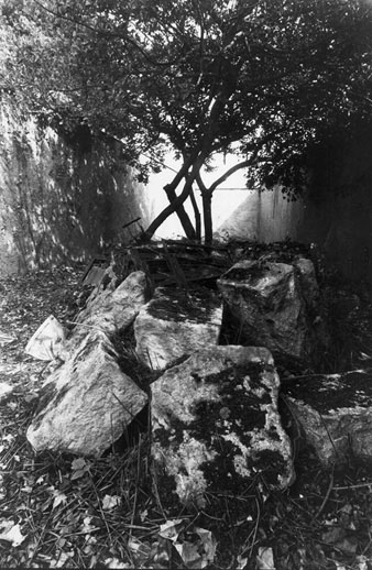 Peces del Pont del Dimoni. Abril 1992