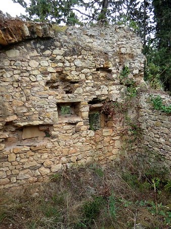 Restes prop del castell de Campdorà