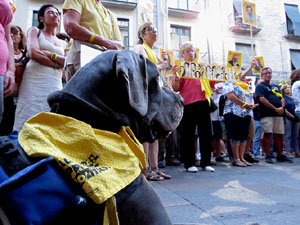 Concentraci&oacute; a la pla&ccedil;a del Vi per la independ&egrave;ncia i la llibertat dels presos pol&iacute;tics