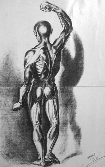 Dibuixos realitzats per Valentí Fargnoli. 1903