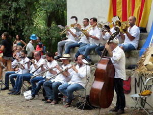 Festa Major de Sant Daniel 2019 - Ballada popular i festiva de sardanes a la Plaça de les Sardanes