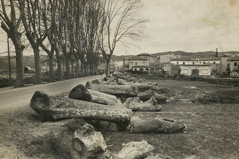 Plàtans tallats a la carretera Santa Eugènia, a l'altura del carrer riu Güell. 1958