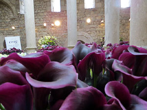 Temps de Flors 2019. Instal·lacions i decoracions florals als diversos espais dels Banys Àrabs