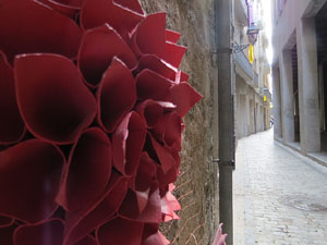 Temps de Flors 2019. Instal&middot;lacions i muntatges florals a la Pla&ccedil;a del Bell-lloc, Travessia de l'Auriga