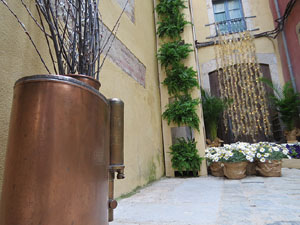 Temps de Flors 2019. Instal&middot;lacions i muntatges florals a la Pla&ccedil;a del Bell-lloc, Travessia de l'Auriga