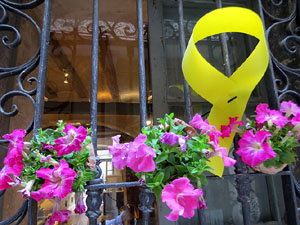 Temps de Flors 2019. Instal&middot;lacions i muntatges florals a la Pla&ccedil;a del Bell-lloc, Travessia de l'Auriga