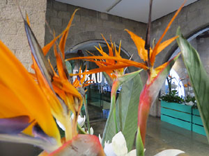 Temps de Flors 2019. Muntatges florals al espais de Caixaf&ograve;rum, a l'edifici de la Fontana d'Or