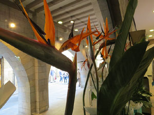 Temps de Flors 2019. Muntatges florals al espais de Caixaf&ograve;rum, a l'edifici de la Fontana d'Or