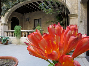 Temps de Flors 2019. Instal&middot;laci&oacute; floral al Palau de Caramany