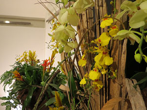 Temps de Flors 2019. Instal&middot;laci&oacute; floral al Palau de Caramany