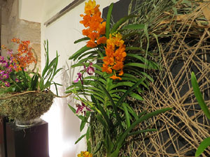 Temps de Flors 2019. Instal&middot;laci&oacute; floral al Palau de Caramany