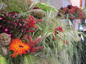 Temps de Flors 2019. Instal&middot;laci&oacute; floral al Palau de Caramany