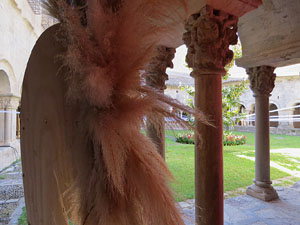 Temps de Flors 2019. Muntatges florals als claustres de la Catedral