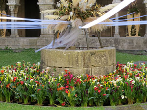 Temps de Flors 2019. Muntatges florals als claustres de la Catedral