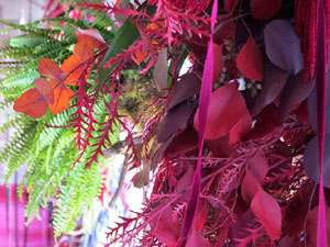 Temps de Flors 2019. Muntatges florals als claustres de la Catedral