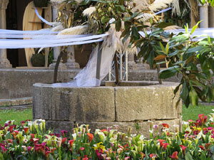 Temps de Flors 2019. Muntatges florals als claustres de la Catedral
