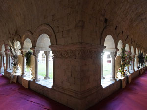 Temps de Flors 2019. Muntatges florals als claustres de la Catedral