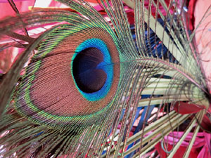 Temps de Flors 2019. Muntatges florals als claustres de la Catedral