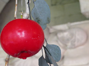 Temps de Flors 2019. Muntatges florals als claustres de la Catedral