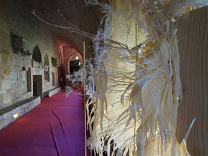Temps de Flors 2019. Muntatges florals als claustres de la Catedral